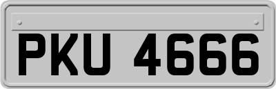 PKU4666
