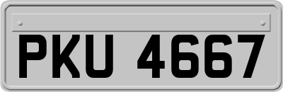 PKU4667