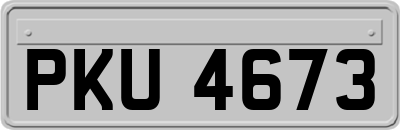 PKU4673