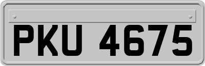 PKU4675