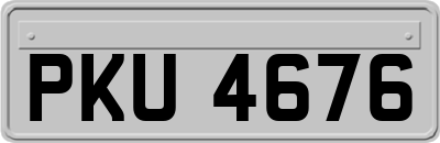 PKU4676