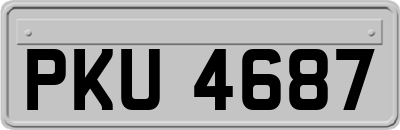 PKU4687
