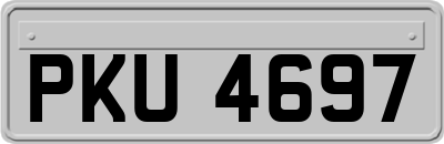 PKU4697