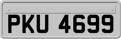 PKU4699