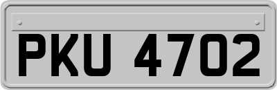 PKU4702