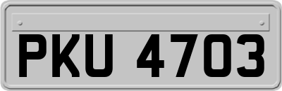 PKU4703