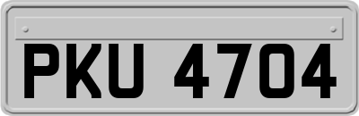 PKU4704