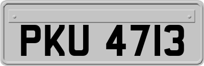 PKU4713