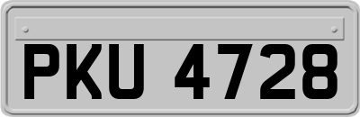 PKU4728