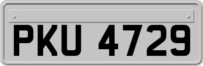 PKU4729