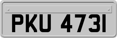 PKU4731