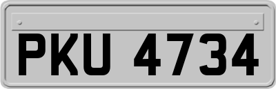 PKU4734