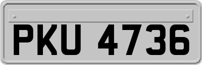 PKU4736
