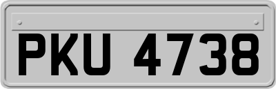 PKU4738