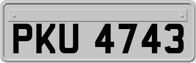 PKU4743