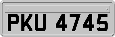 PKU4745