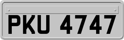 PKU4747