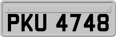 PKU4748