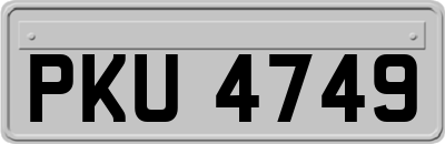 PKU4749