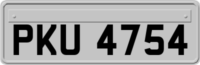 PKU4754