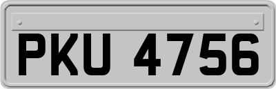 PKU4756