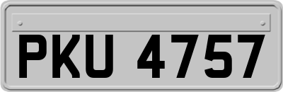 PKU4757