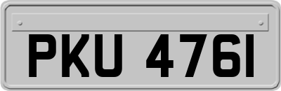 PKU4761