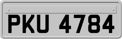PKU4784