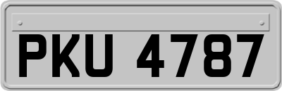 PKU4787