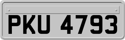 PKU4793