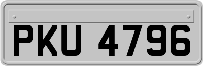 PKU4796