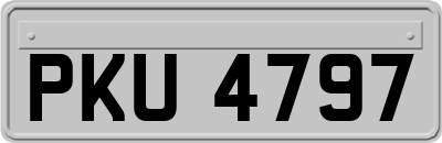 PKU4797