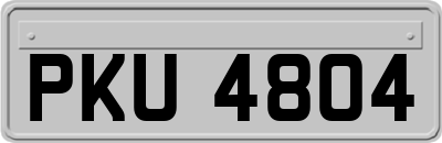 PKU4804