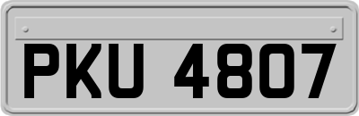 PKU4807