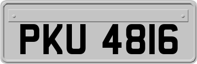 PKU4816
