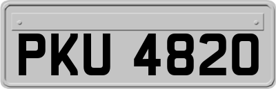 PKU4820