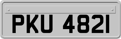 PKU4821