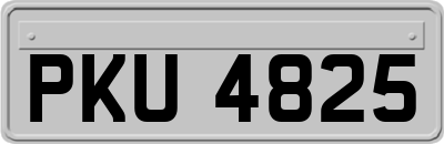 PKU4825