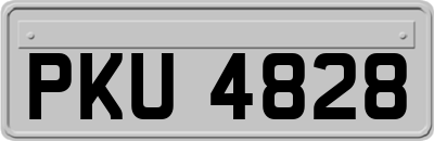 PKU4828