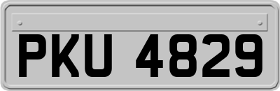PKU4829