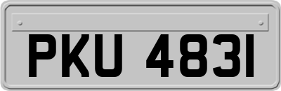 PKU4831