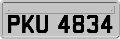 PKU4834