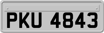 PKU4843