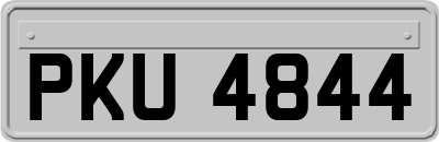 PKU4844