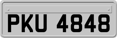 PKU4848