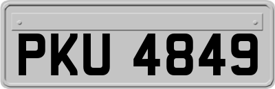PKU4849