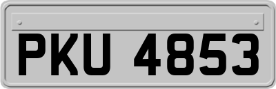 PKU4853