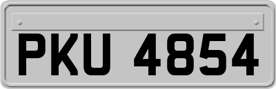 PKU4854