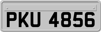 PKU4856