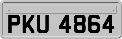 PKU4864
